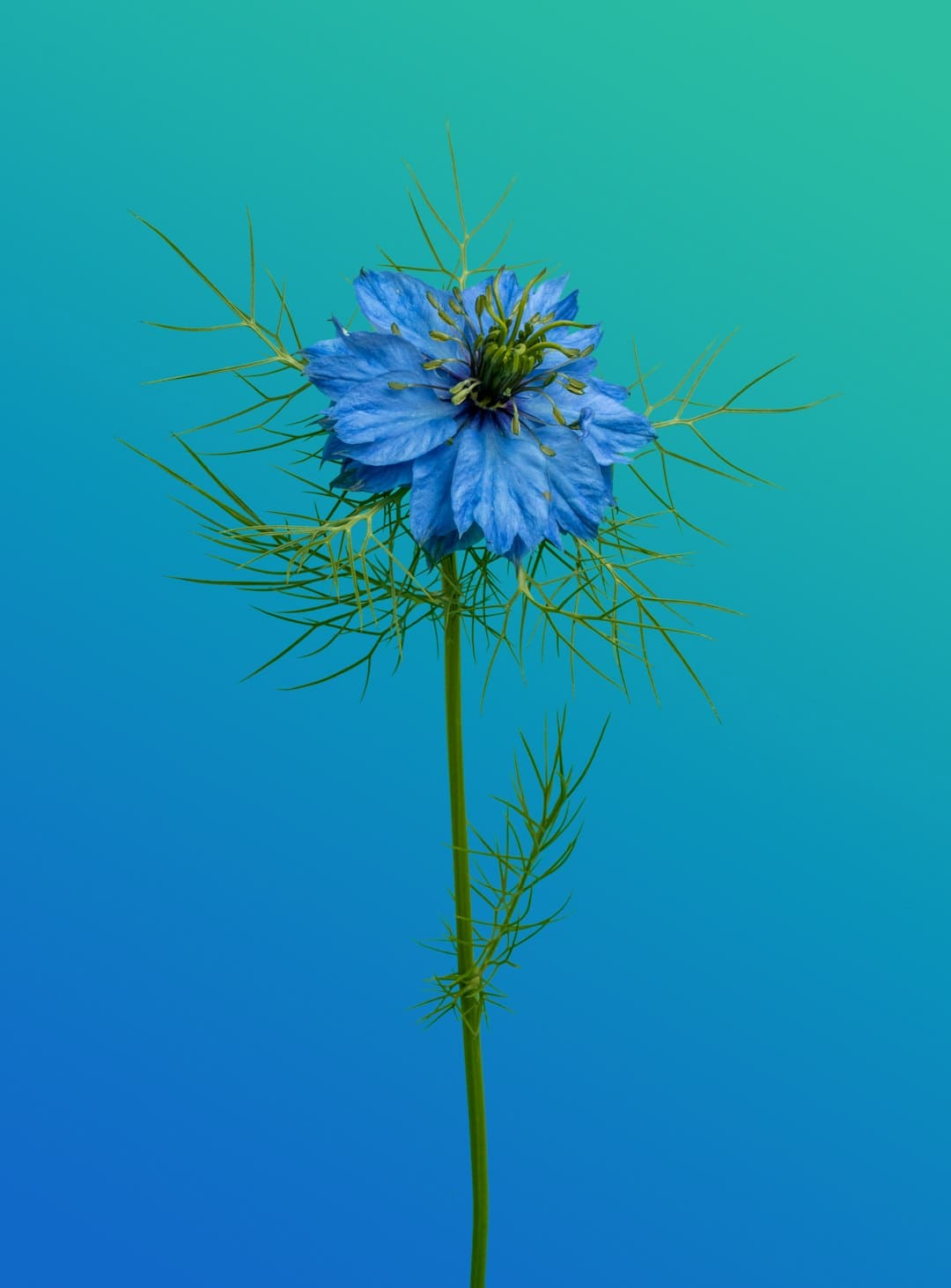 http://n.sinaimg.cn/news/1_img/upload/56fedab5/w600h391/20180313/Bh12-fysfpsa8855827.jpg?zdy